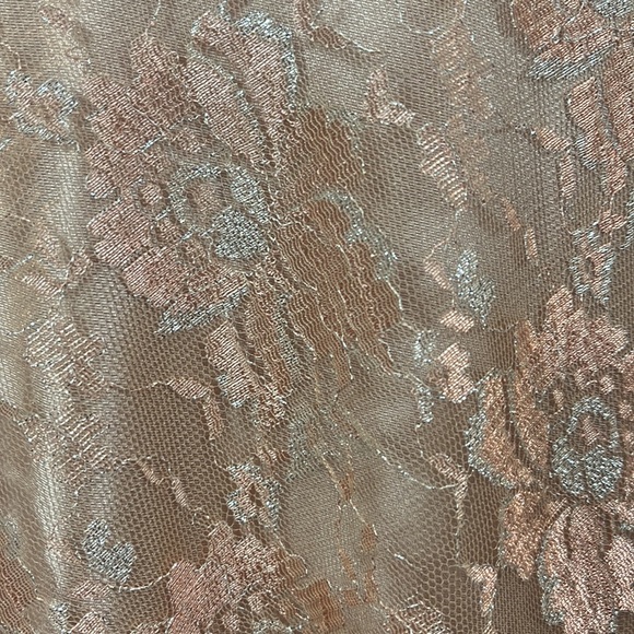 Tony Bowls Evenings Long Beaded Lace and Tulle Dress Gown - Picture 11 of 17